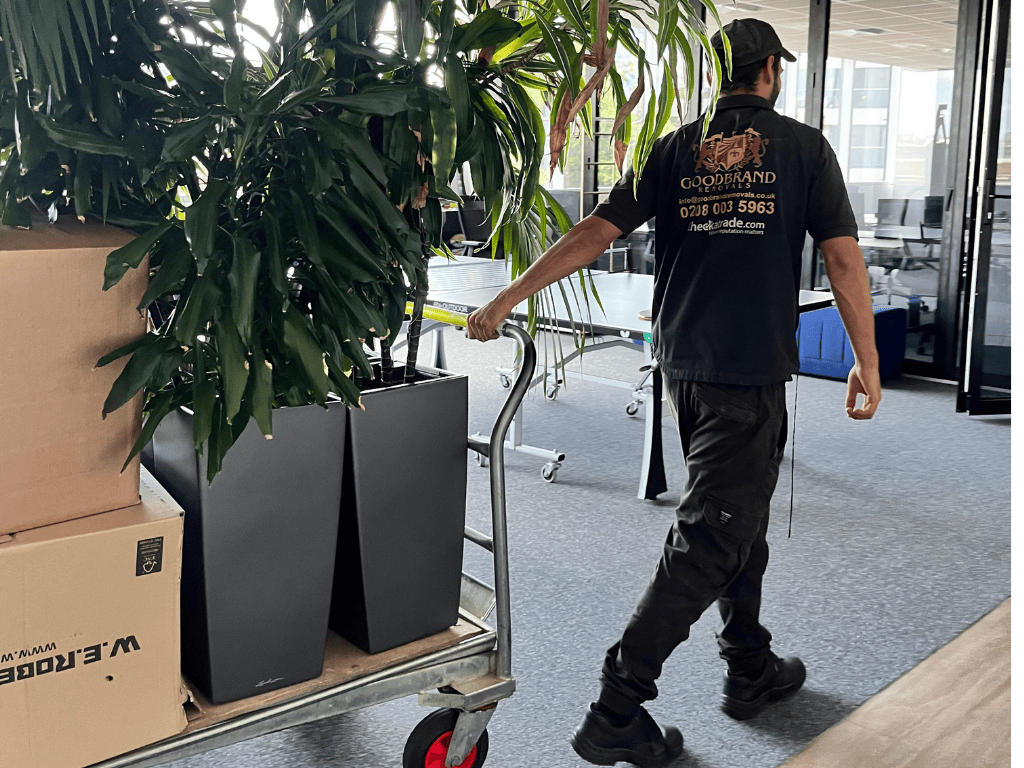 Fully insured moving services with professional dismantling and reassembly