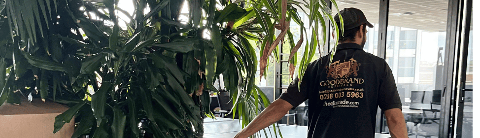 Expert Office Relocation Services | Goodbrand Removals UK