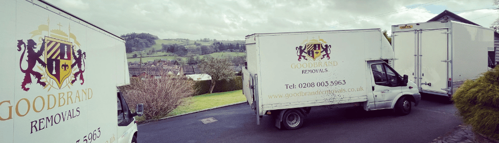 What Special Items Can Goodbrand Removals Move Safely and Professionally